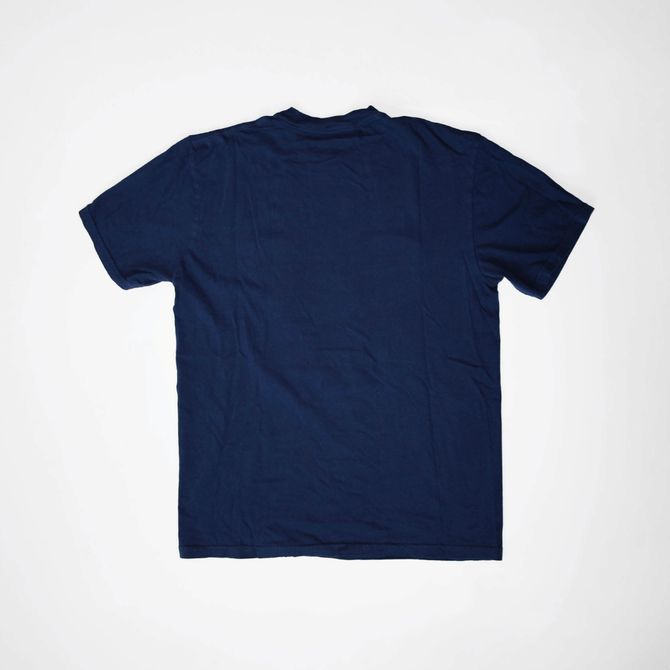 Reading is Patriotic Tee