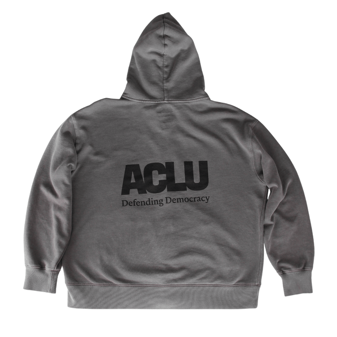 Defending Democracy Zip Hoodie