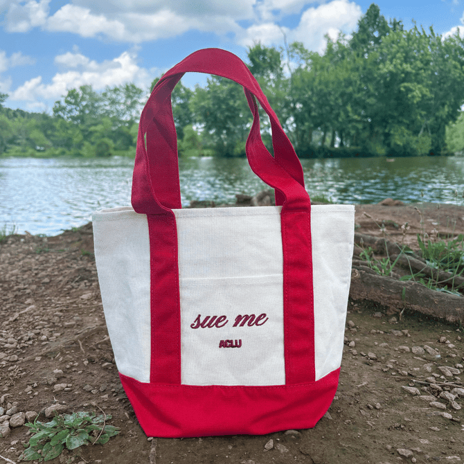 Sue Me Mini Boat Tote