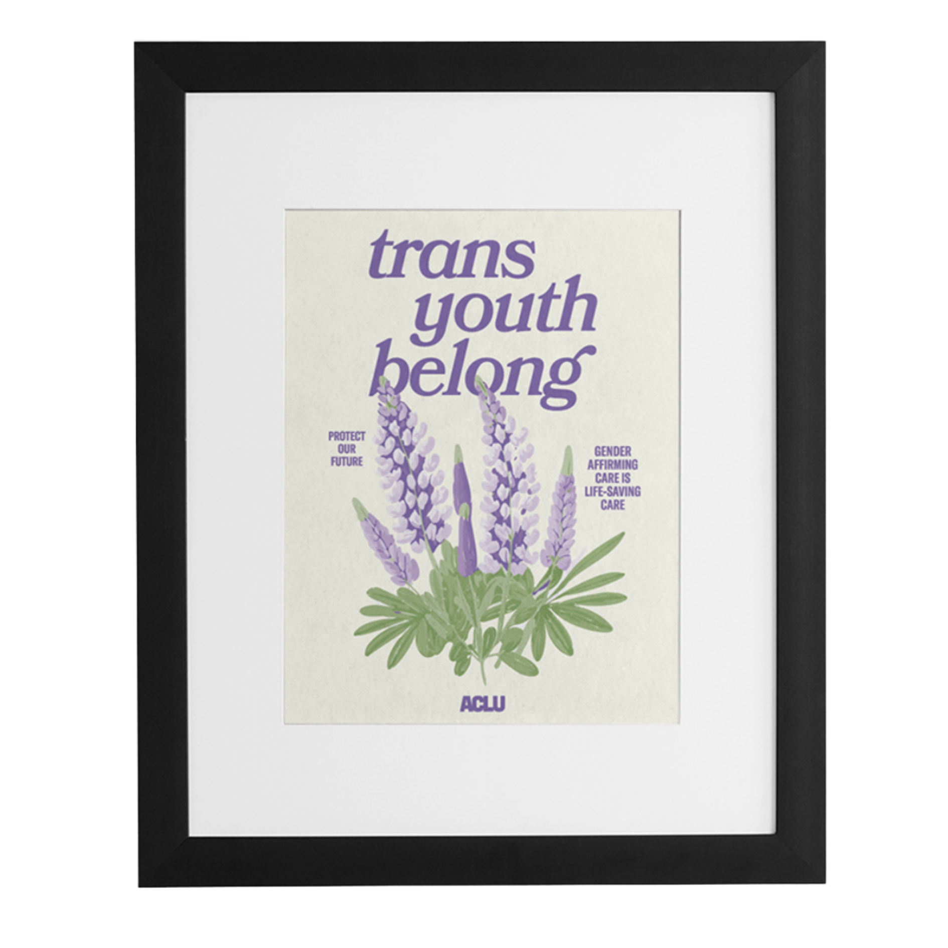 poster that reads protect trans youth