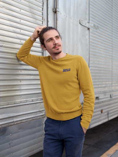 SWT_Mustard_Style__51527.