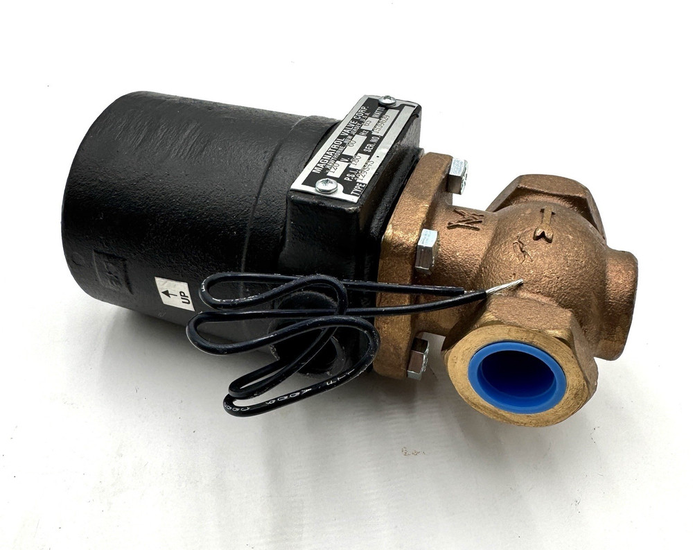 Magnatrol Valve Corp 129S43 Solenoid Valve 120V 60HZ 180PSI
