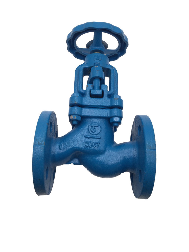 Tecofi R3240 1 1/4” DN 32 PN16 Cast Iron Globe Valve