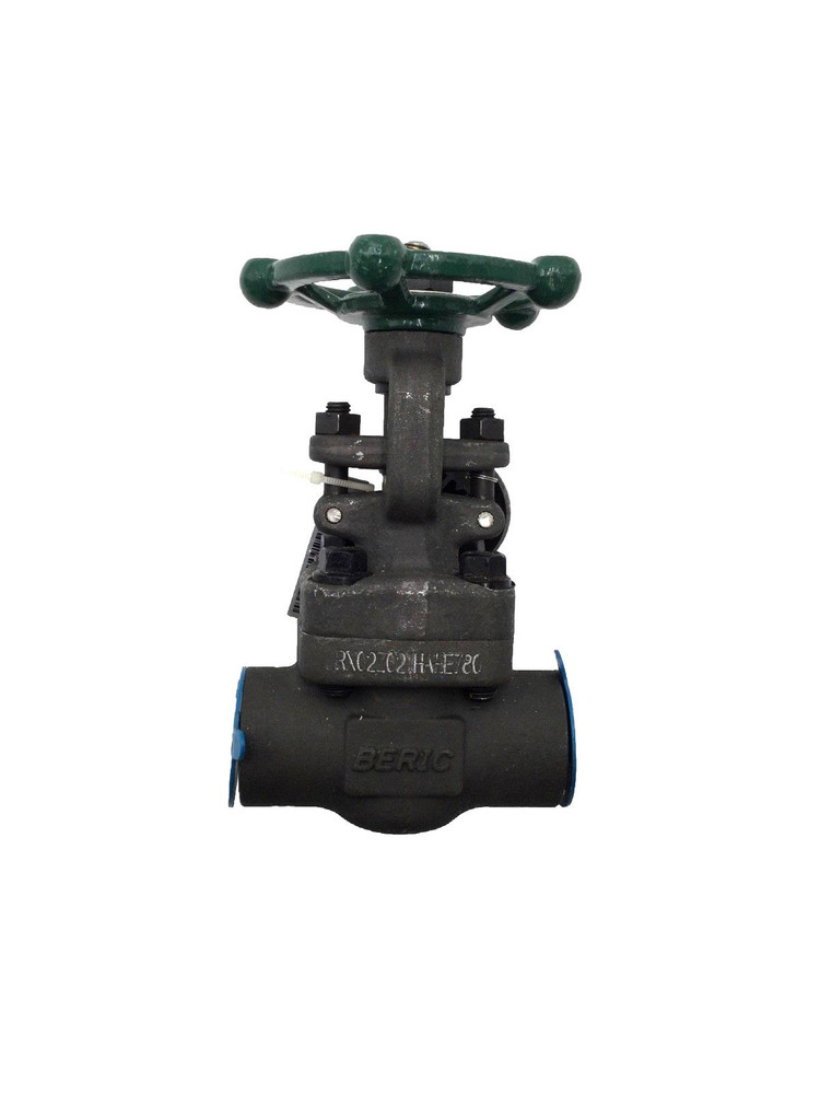 Beric Valves 501T48A08N-NACE Gate Valve Body A105N Size 3/4”