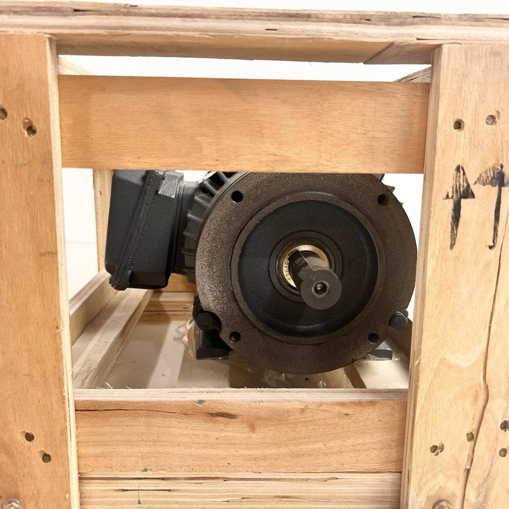 Worldwide Electric PEWWE2-18-145TC Motor