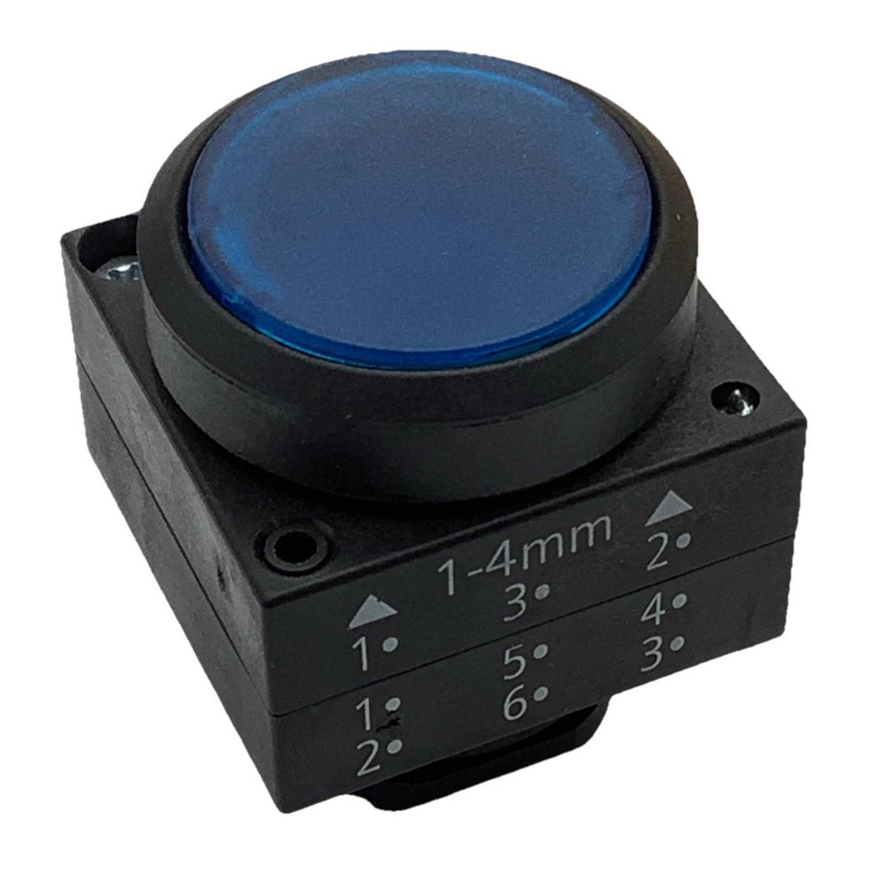 Siemens Blue Push Button Flush Mount