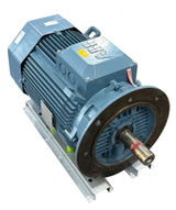 ABB M3AA160MLA4  11kW Electric Motor 3GAA162410-BDK011332509 IE3 IP55 3-Phase