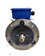 Teco Westinghouse MAX-IE3 MP0042  AESV3W 3-Phase Induction Motor