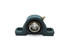 Dodge 123806-P2B-SC-100 Pillow Block Bearing