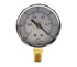 Pic Gauges 101D-254A Pressure Gauge | 2-1/2 Dry Dial | -30 To 0Psi | Lower Mount