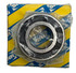 SNR 6004.EE Deep Groove Ball Bearing
