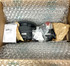 Siemens 2KJ3508-5DA07-0FR1-Z Gear Motor