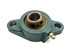 Dodge 124199 F2B-SC-010 Flange Bearing