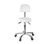 Silverfox 1025B - Premium Rolling Stool With Back Support (3 Motion)