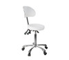 Silverfox 1025B - Premium Rolling Stool With Back Support (3 Motion)