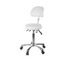 Silverfox 1025B - Premium Rolling Stool With Back Support (3 Motion)