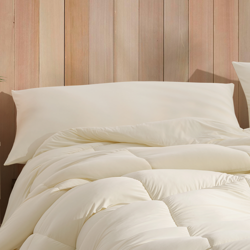 (2) Caught A Cold - Coma Inducer® Standard Shams - Icicle Cream