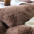 Soft Plush Comforter Extra Long and Extra Wide Twin, Queen, or King Coma Inducer Blanket