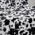Milky Moo Cow - Coma Inducer Oversized Queen Comforter