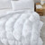Dam Boi He Thick - Coma Inducer Queen Comforter - White