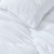 Dam Boi He Thick - Coma Inducer King Comforter - White
