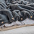 Plumpy Pudgy Portly Chunky Bunny - Coma Inducer® Alaskan King Comforter with Cover - Poppy Seed Birch