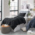 Yoga Pants® - Coma Inducer® Oversized Queen Cooling Comforter Set - Black