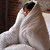 Love Thick® - Springtime Coma Inducer® Oversized Queen Comforter Set - White