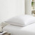 Crooked Line - Coma Inducer® Pillow - Standard