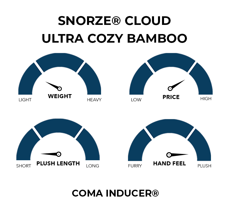 Snorze Cloud Comforter - Coma Inducer Ultra Cozy Bamboo - Oversized Twin in  Charcoal