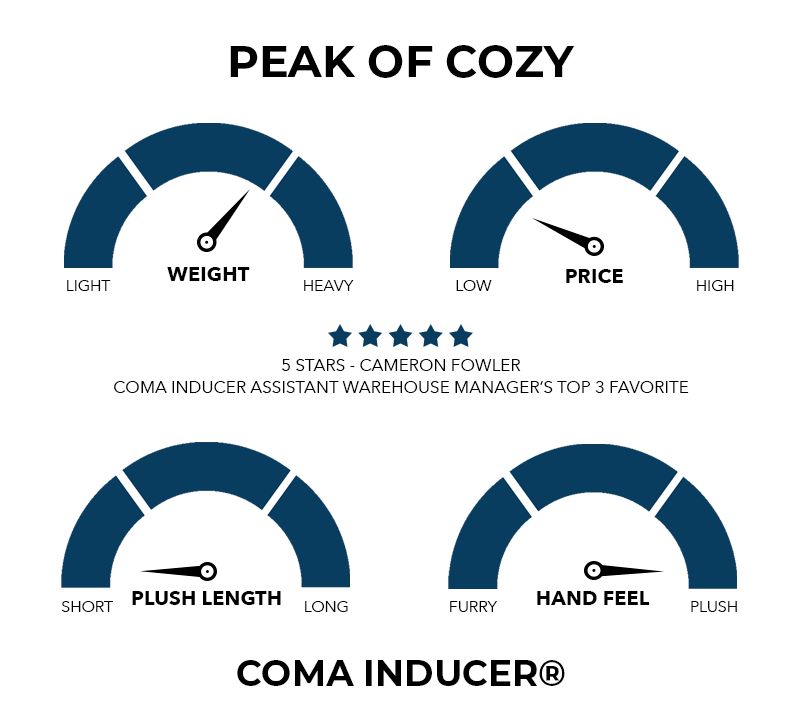 Peak of Cozy® - Coma Inducer® Oversized King Comforter - Black Gray