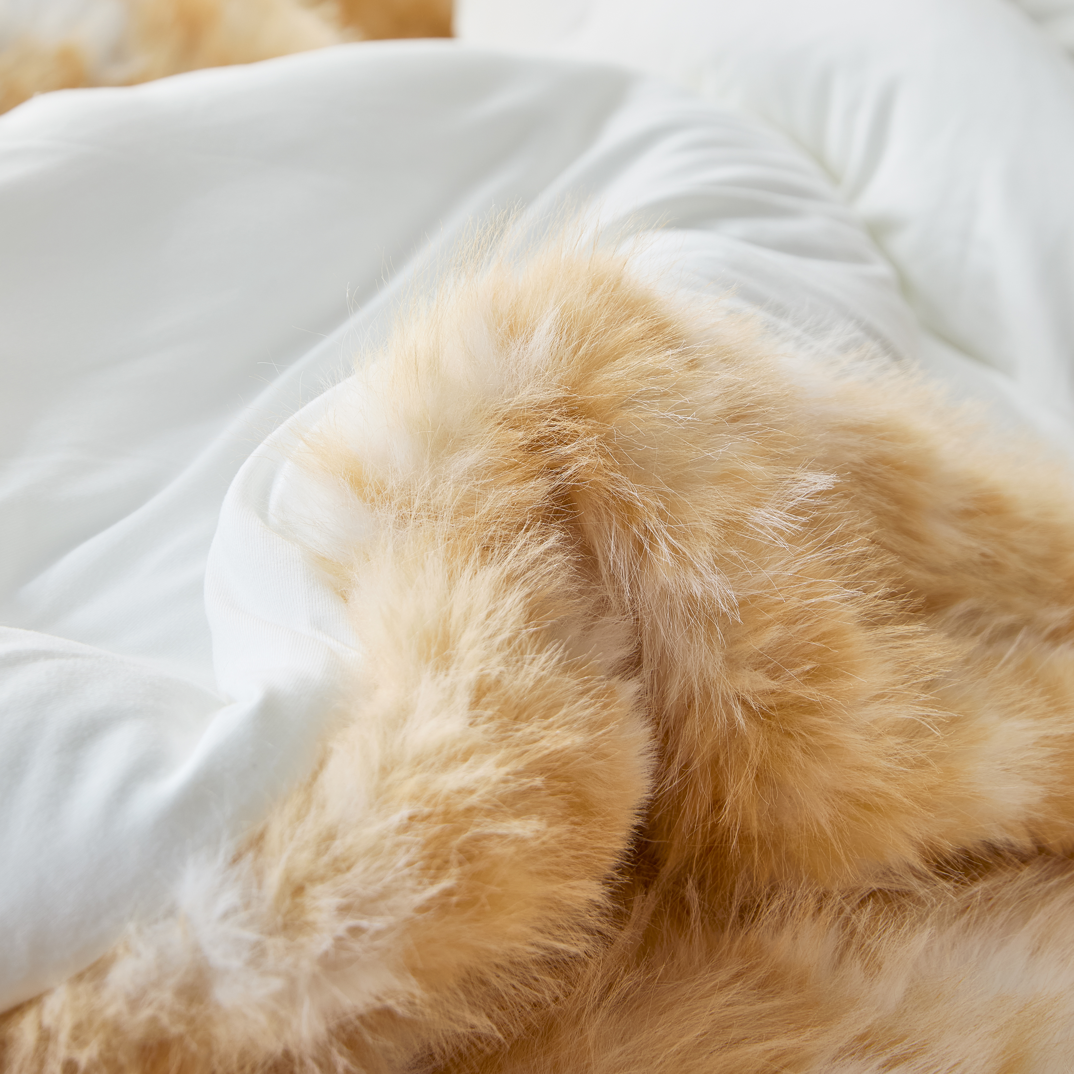 Highland - Coma Inducer® Oversized Queen Comforter - Tan & White
