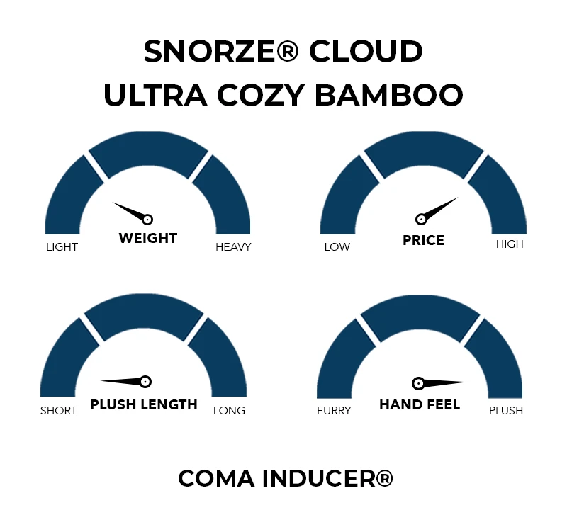Snorze® Cloud Comforter - Coma Inducer® Ultra Cozy Bamboo - Oversized King in Glacier Gray