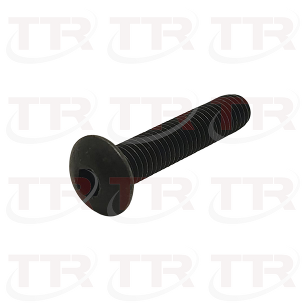 Fromm N1.1208 Screw 5456057 M5x25 BHCS