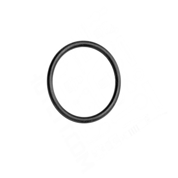 Fromm N6-6234 O-Ring