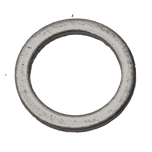 Fromm Packing Ring N6-5693