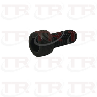 Fromm N1.1181 Screw 5482150
