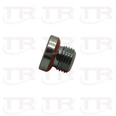 Fromm N1.7302 Sealing Screw/Oil Plug