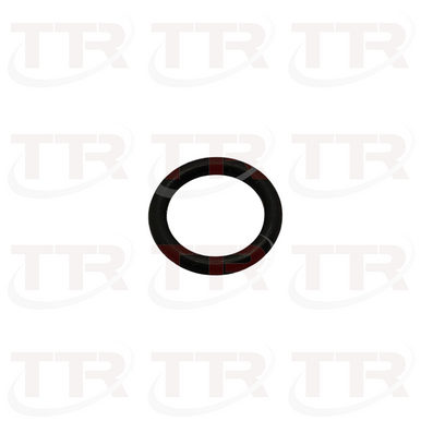 Fromm N6.6205 O-Ring