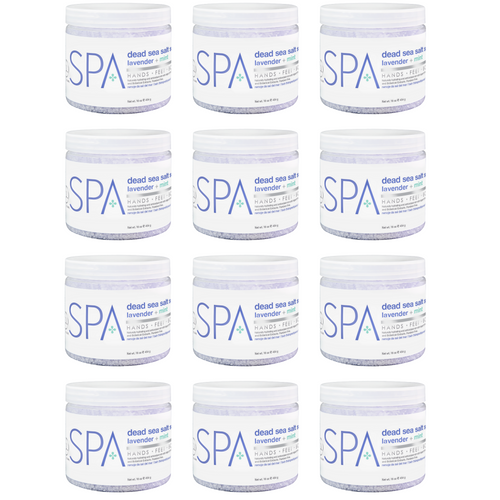 BCL SPA Dead Sea Salt Soak Lavender + Mint, 16 oz. Case Pack Of 12