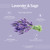 Calm Lavender & Sage Lotion (32 fl. oz. | 946 ml.) - BareLuxury Pump Lotion