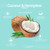 BareLuxury Energy Coconut & Honeydew 4 Pack - Includes 1 Each of Soak, Masque, Scrub, Massage Butter