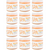 BCL SPA Dead Sea Salt Soak Mandarin + Mango, 16 oz. Case Pack Of 12