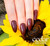Gelish "Cedar You Later" Trio, Includes Gel Polish, Lacquer + Dip, Mocha Creme