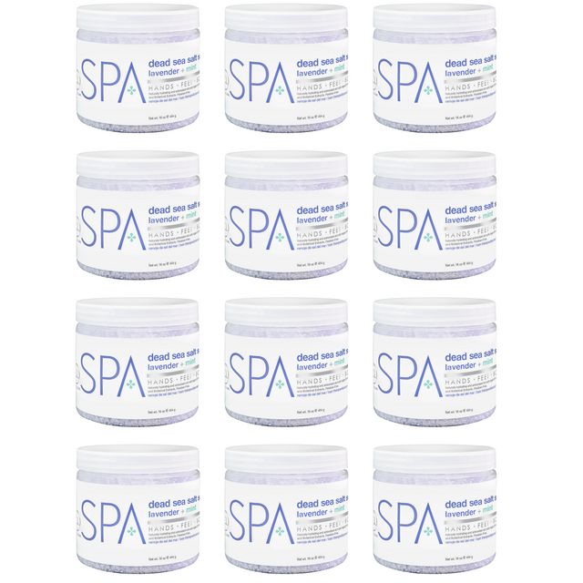 BCL SPA Dead Sea Salt Soak Lavender + Mint, 16 oz. Case Pack Of 12