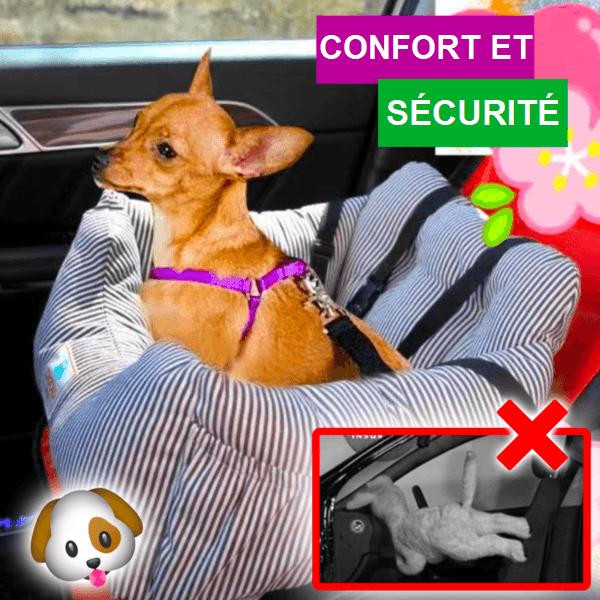 Siège Auto pour Chien, Transport Chien Voiture avec Ceinture de