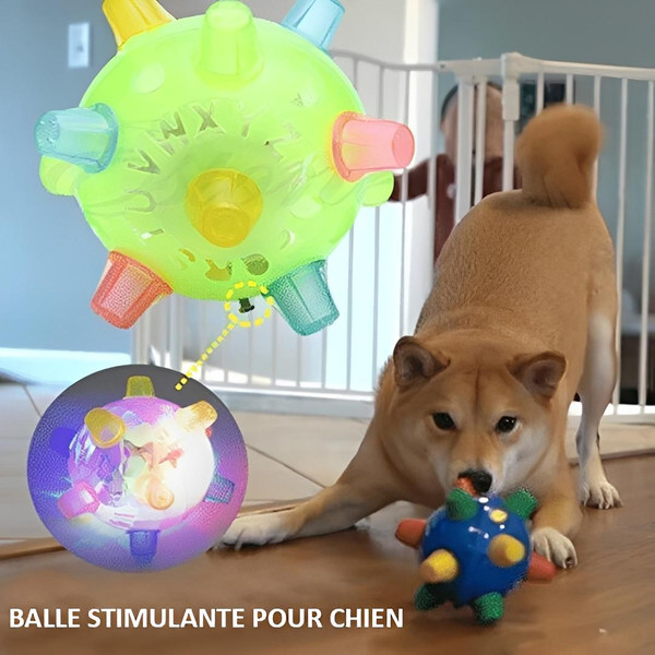 Balle Pour Chien Interactive zaxx
