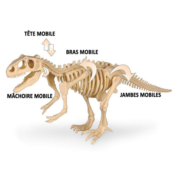 Kit De Fouille Archeologique - Jouet Squelette De Dinosaure zaxx