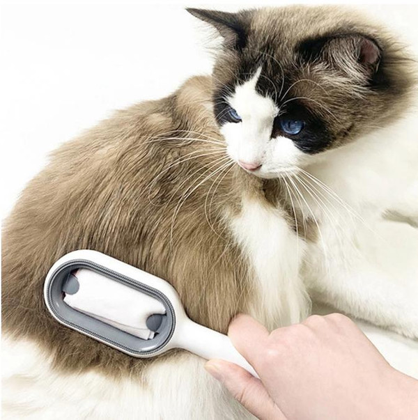 Brosse Pour Chien Et Chat zaxx