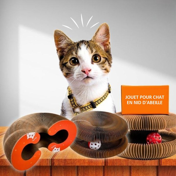 Jouet Pour Chat Intéractif Avec Balle Et Griffoir Jouet Pour Chat Intéractif Avec Balle Et Griffoir zaxx